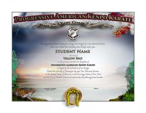 East Coast Black Belt Academy Lower Rank Certificate