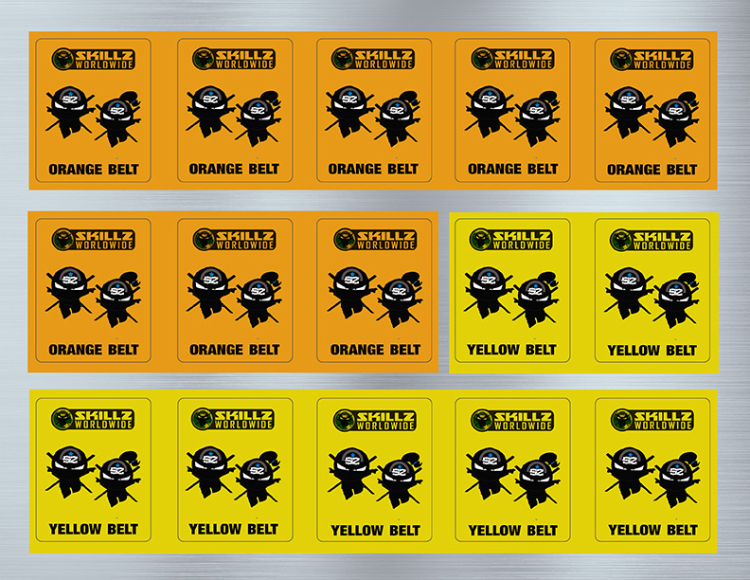 Extreme SKILLZ Orange Yellow stickers sheet