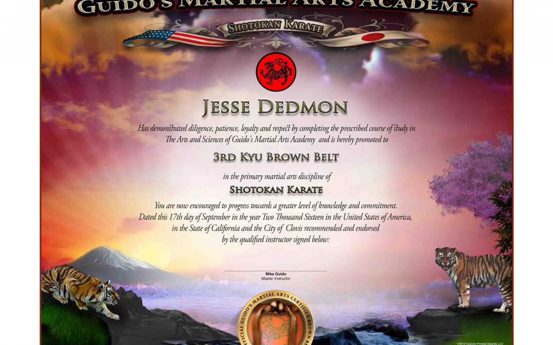 Guido’s Upper Rank – Brown Belt Certificate