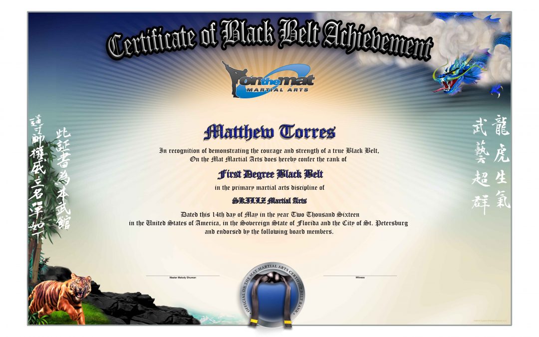 SKILLZ – On The Mat Black Belt Certificate