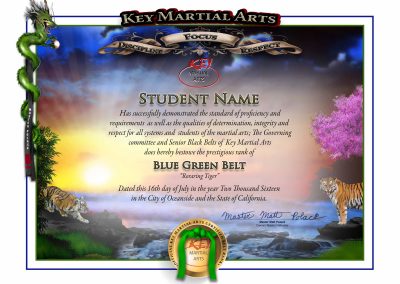 Key Martial Arts – Junior Lower Rank – Blue/Green Belt