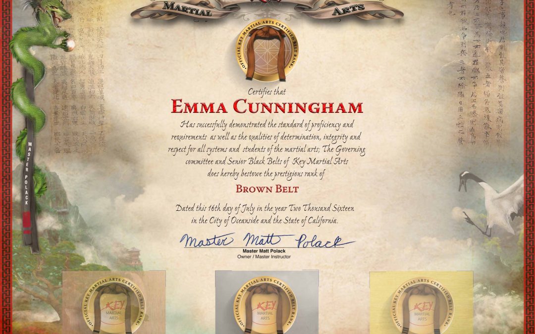 Key Martial Arts – Multi-Level Brown Belt Certificate