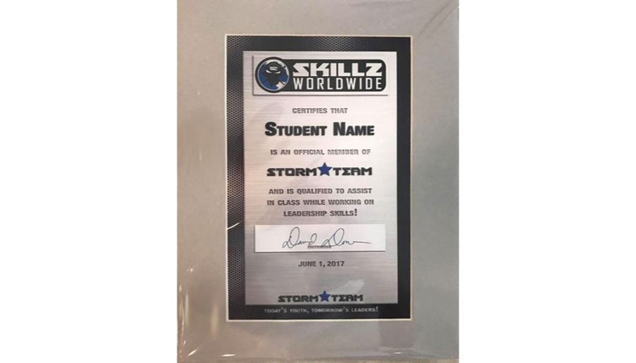 Skillz storm certificate image