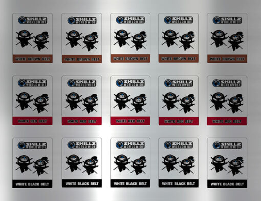 Basic SKILLZ brown red black stickers sheet