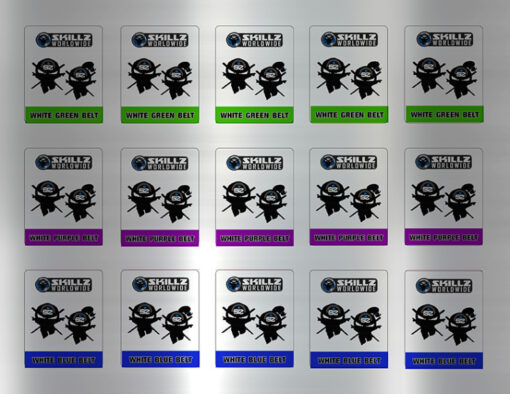 Basic SKILLZ green purple blue stickers sheet