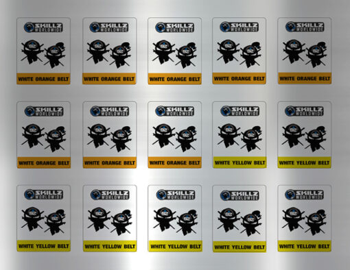 Basic SKILLZ orange yellow stickers sheet