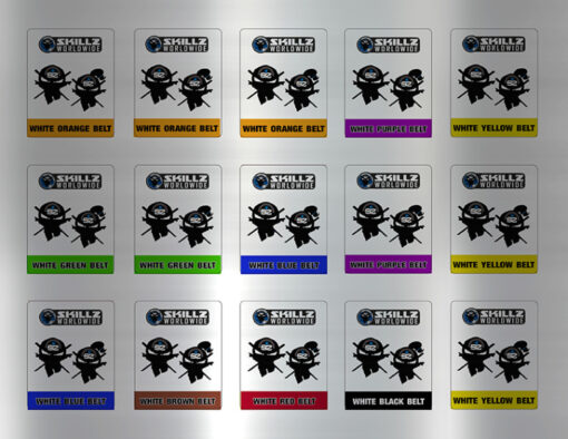 Basic SKILLZ variety stickers sheet