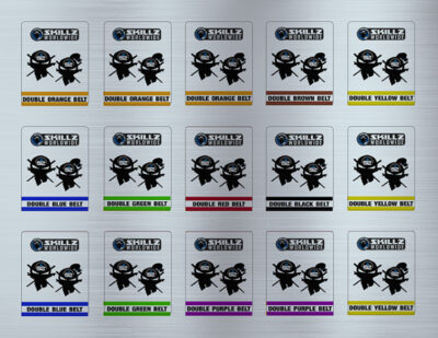 Early SKILLZ variety stickers sheet