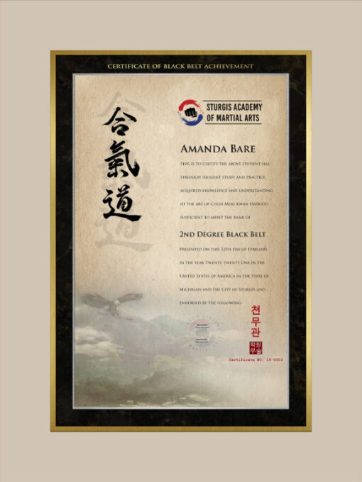 Traditional Vertical Fusion template by Martial Art Certificates