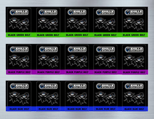 Elite SKILLZ Green Purple Blue stickers sheet